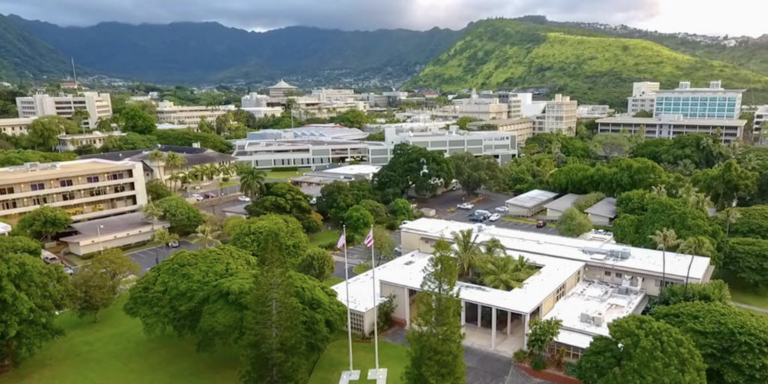 U of Hawaii transfer student 1732049633