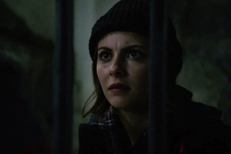 willa holland arrow